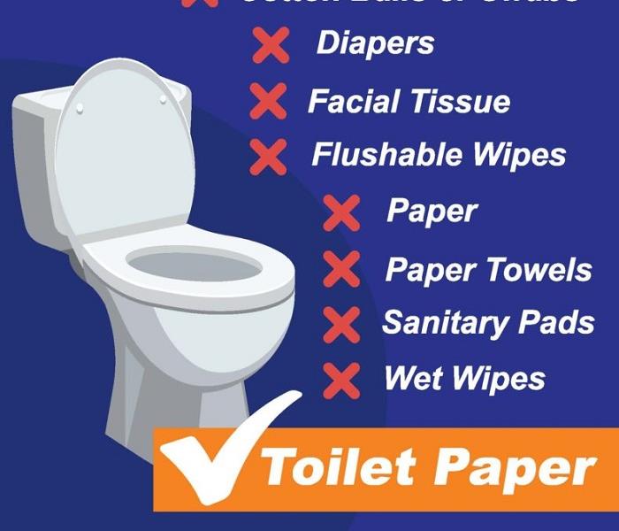 What is Safe to Flush?
